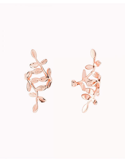Pendientes ear cuff conch en forma de hojas
